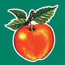 Urltaler Apfel